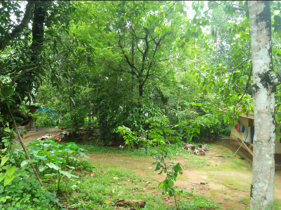 5 Cents Residential Land for Sale Near Athani , Aluva